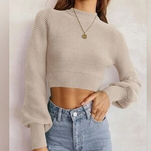 Beige Soft Ribbed Knit Cropped Sweater Zesica NEW